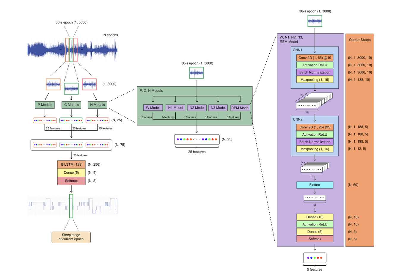  Meet ZleepAnlystNet: A Novel Deep Learning Model for Automatic Sleep Stage Scoring based on Single-Channel Raw EEG Data Using Separating Training