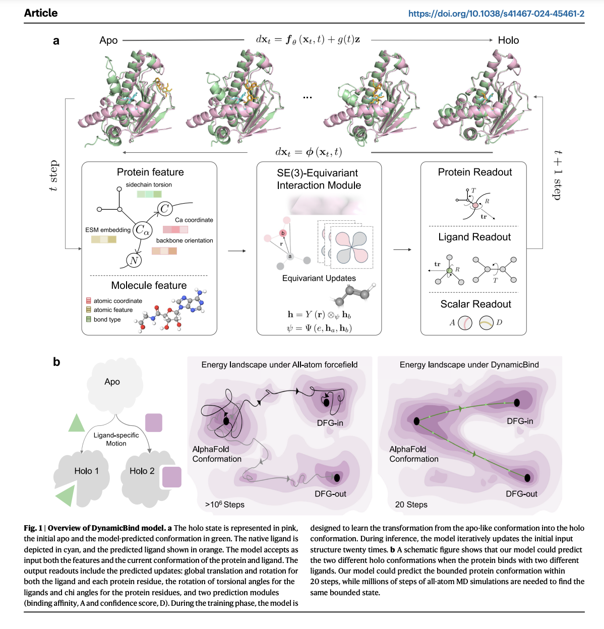  DynamicBind: A Deep Learning Approach for Dynamic Protein-Ligand Docking and Drug Discovery