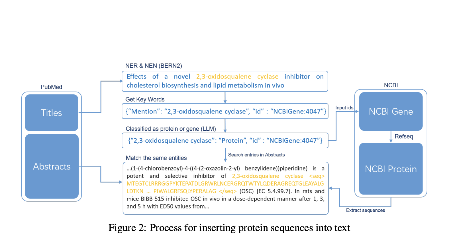  Unlocking the Language of Proteins: How Large Language Models Are Revolutionizing Protein Sequence Understanding