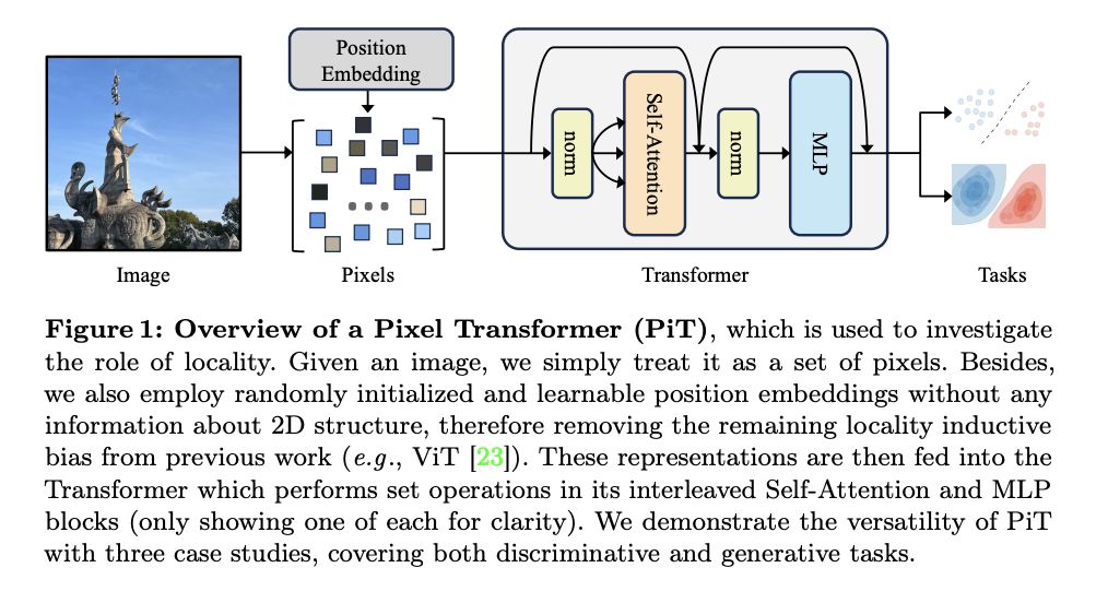  Pixel Transformer: Challenging Locality Bias in Vision Models