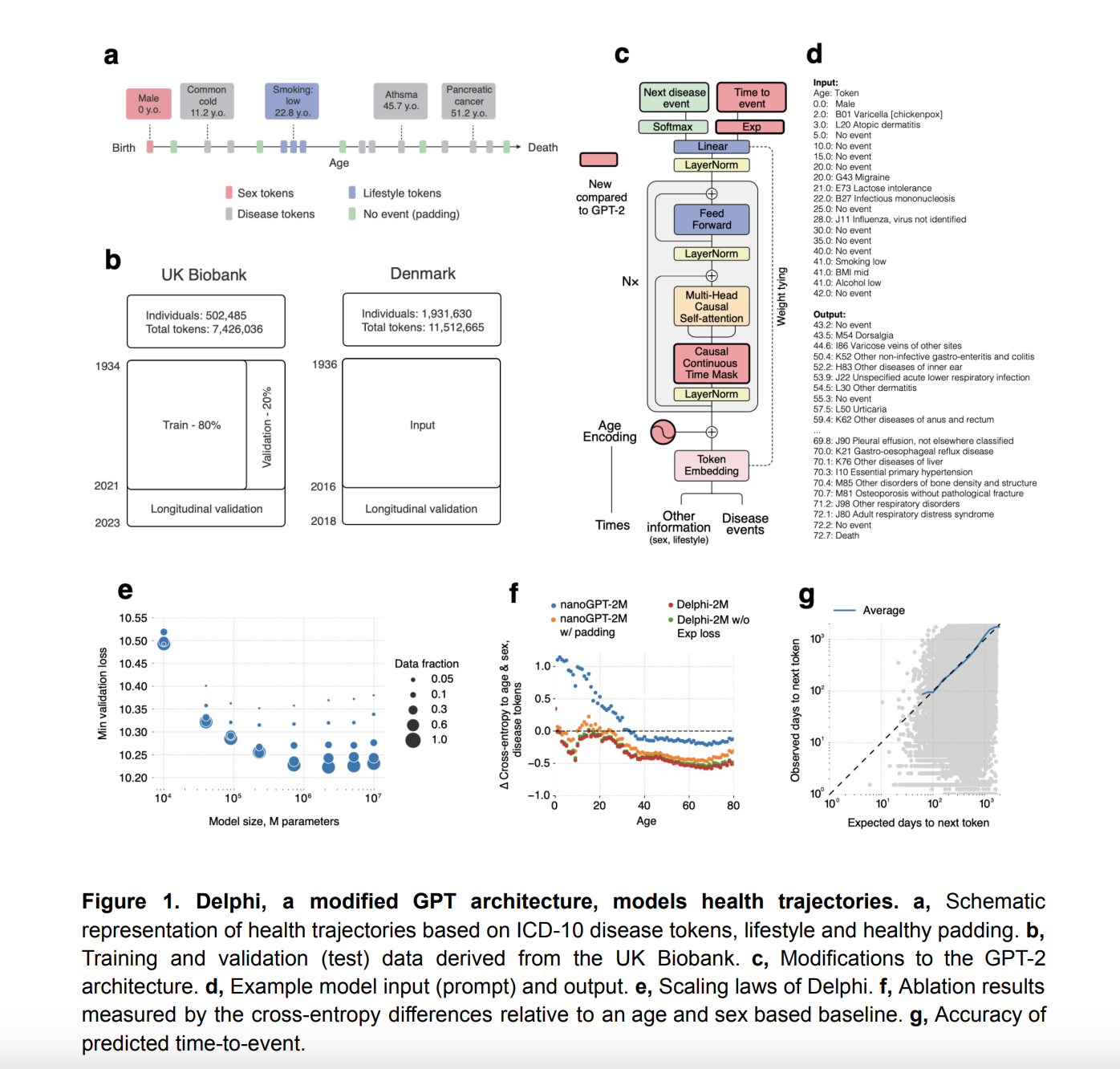 Delphi-2M: A Modified GPT Architecture for Modeling Future Health Based on Past Medical History