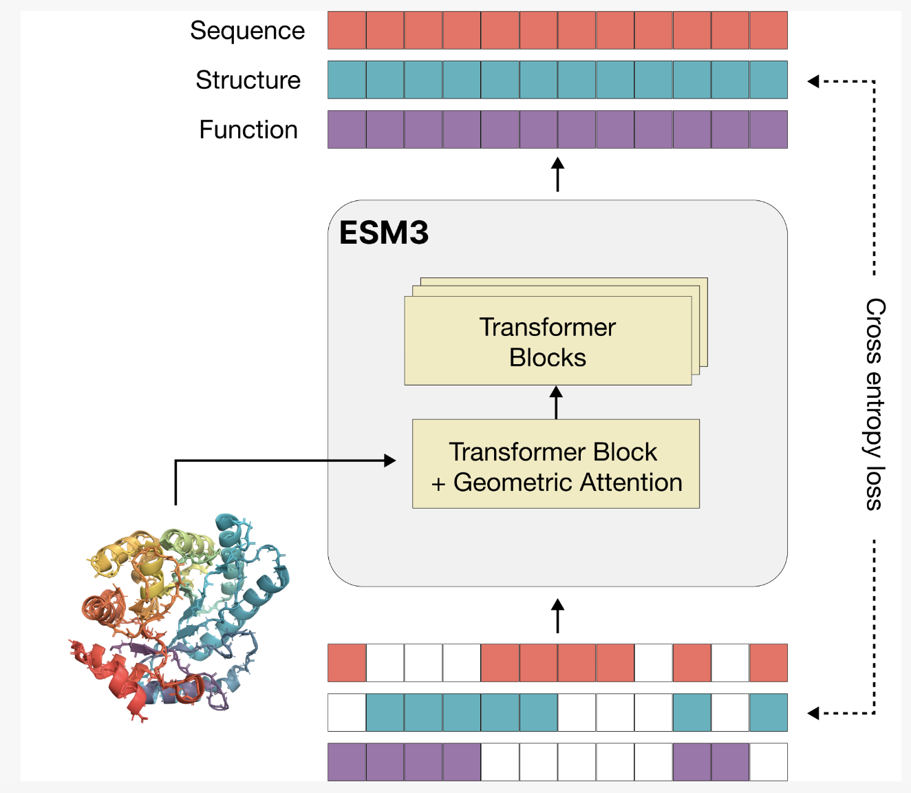 EvolutionaryScale Introduces ESM3: A Frontier Multimodal Generative Language Model that Reasons Over the Sequence, Structure, and Function of Proteins