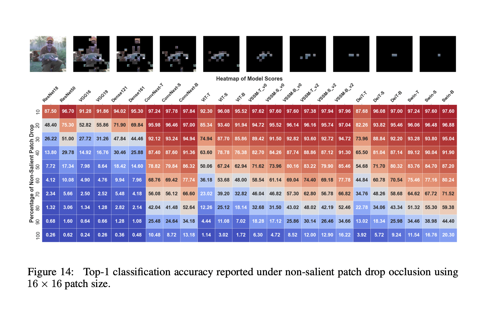  Comprehensive Analysis of The Performance of  Vision State Space Models (VSSMs), Vision Transformers, and Convolutional Neural Networks (CNNs)