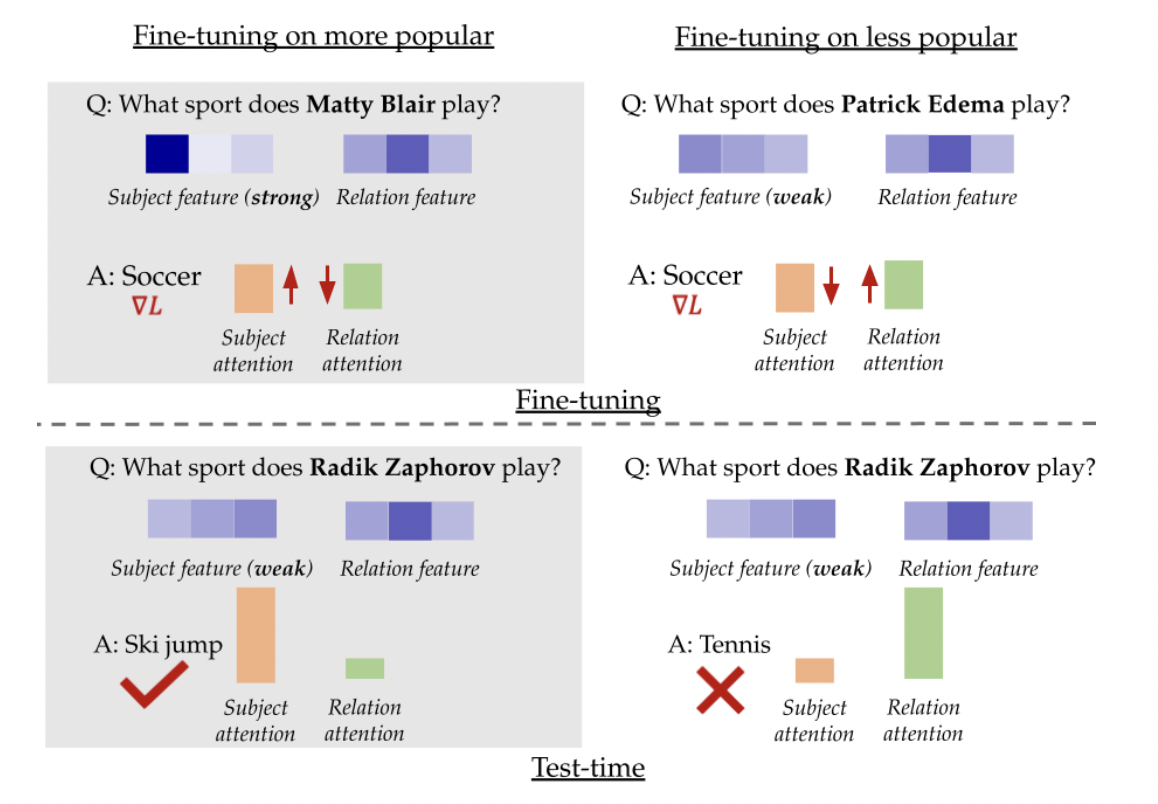 Rethinking QA Dataset Design: How Popular Knowledge Enhances LLM Accuracy?