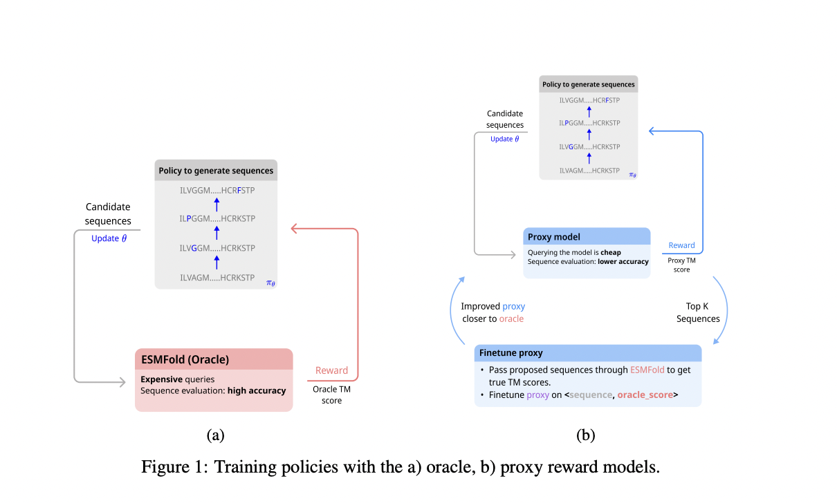 Advancements in Protein Sequence Design: Leveraging Reinforcement Learning and Language Models