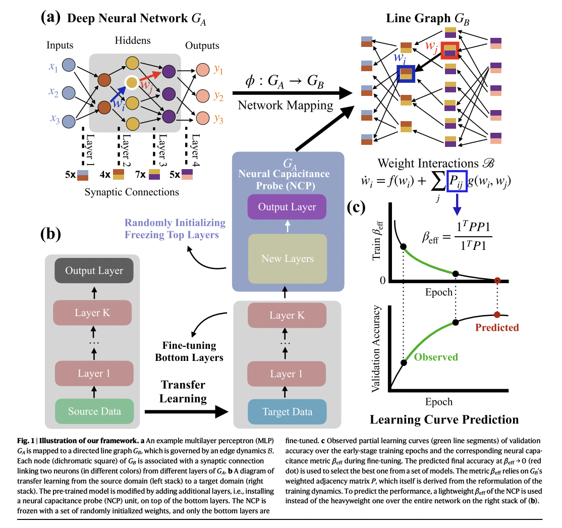 Mapping Neural Networks to Graph Structures: Enhancing Model Selection and Interpretability through Network Science