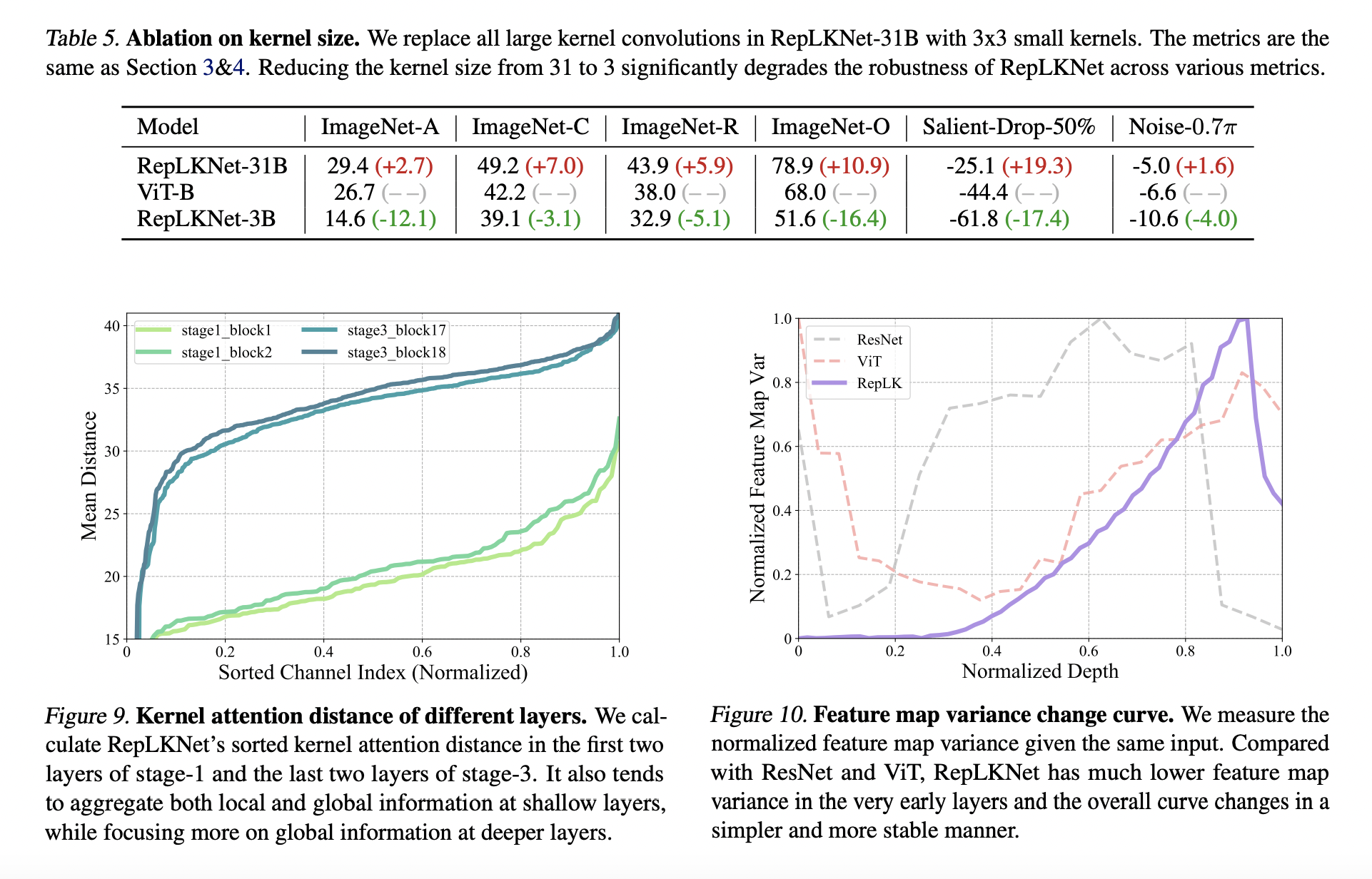  Exploring Robustness: Large Kernel ConvNets in Comparison to Convolutional Neural Network CNNs and Vision Transformers ViTs