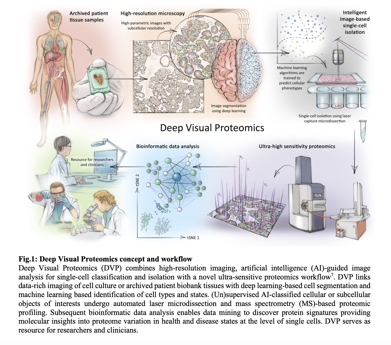 Revolutionizing Cellular Analysis: Deep Visual Proteomics Integrates AI and Mass Spectrometry for Advanced Phenotyping