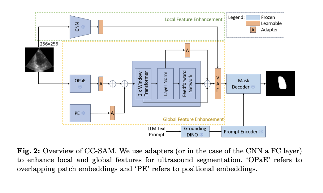 CC-SAM: Achieving Superior Medical Image Segmentation with 85.20 Dice Score and 27.10 Hausdorff Distance Using Convolutional Neural Network CNN and ViT Integration