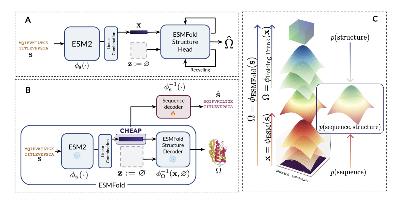  CHEAP Embeddings and Hourglass Protein Compression Transformer (HPCT): Transforming Protein Structure Prediction with Advanced Compression Techniques for Enhanced Efficiency and Accuracy