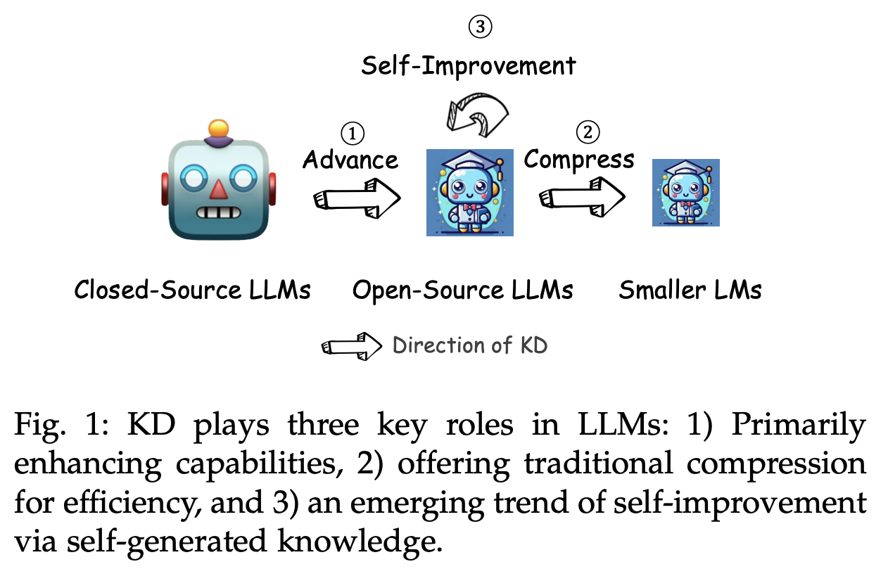  Understanding Language Model Distillation