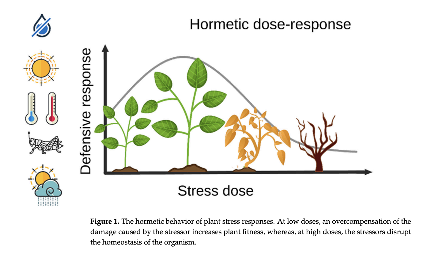 Harnessing AI for Hormesis Management and Plant Stress Analysis: Advancing Agricultural Resilience and Productivity