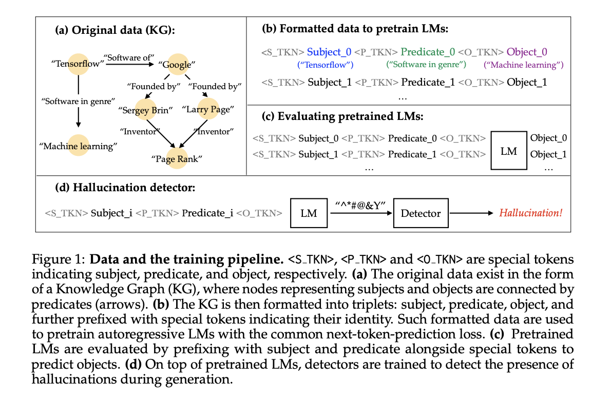 Understanding Hallucination Rates in Language Models: Insights from Training on Knowledge Graphs and Their Detectability Challenges