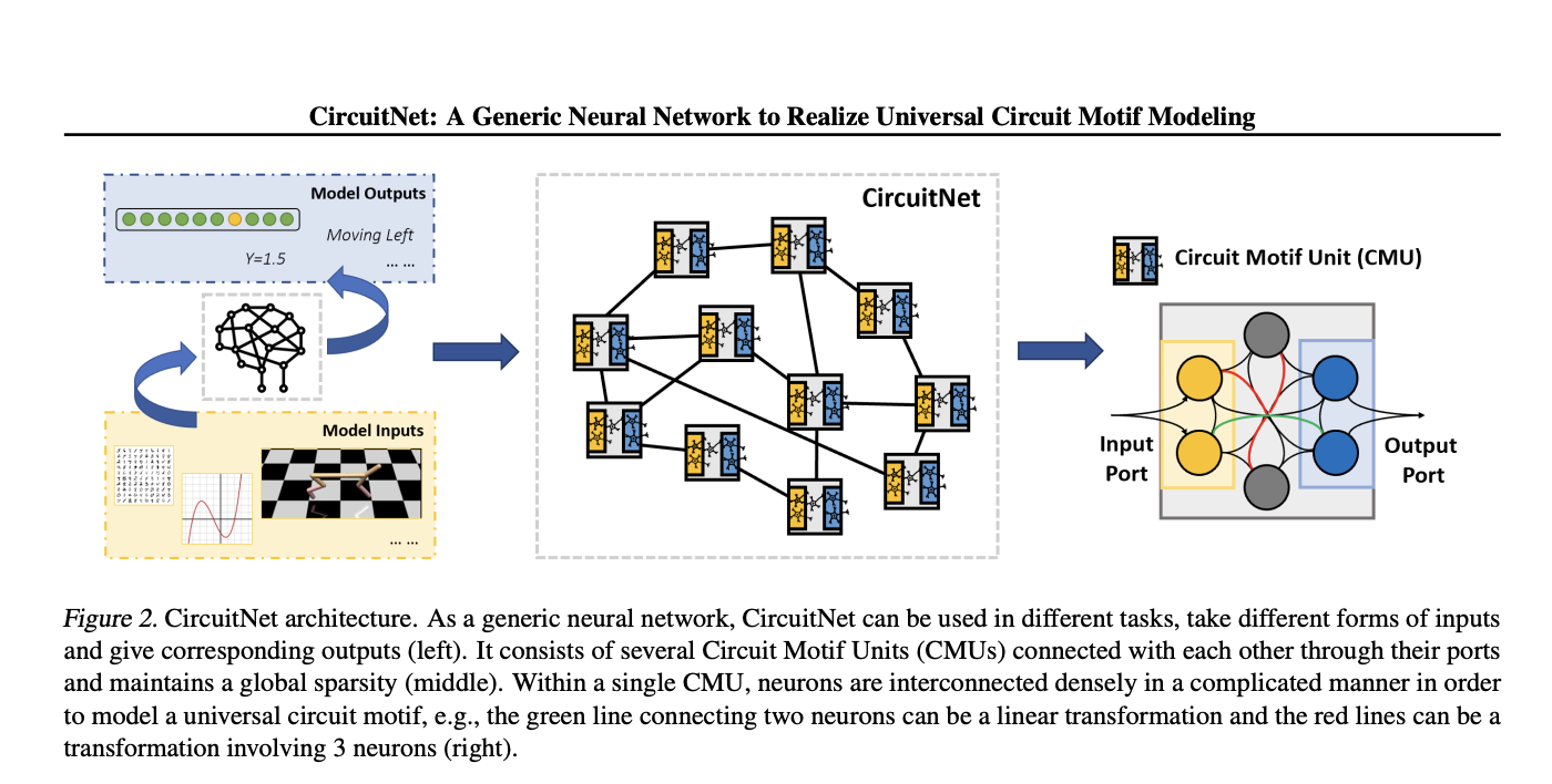  CircuitNet: A Brain-Inspired Neural Network Architecture for Enhanced Task Performance Across Diverse Domains