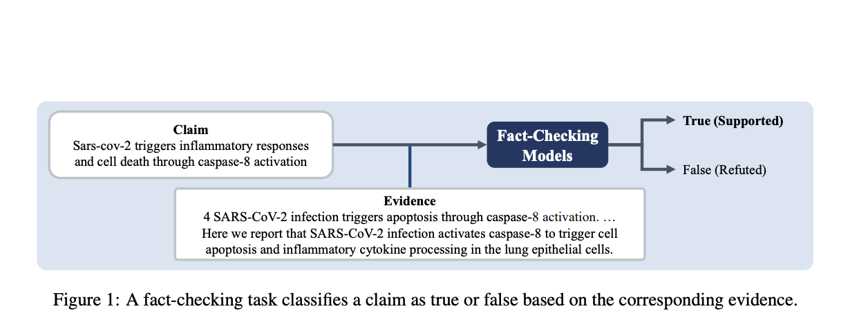 Enhancing Fact-Checking with LoraMap: A Neuroscience-Inspired Approach to Efficient LoRA Integration