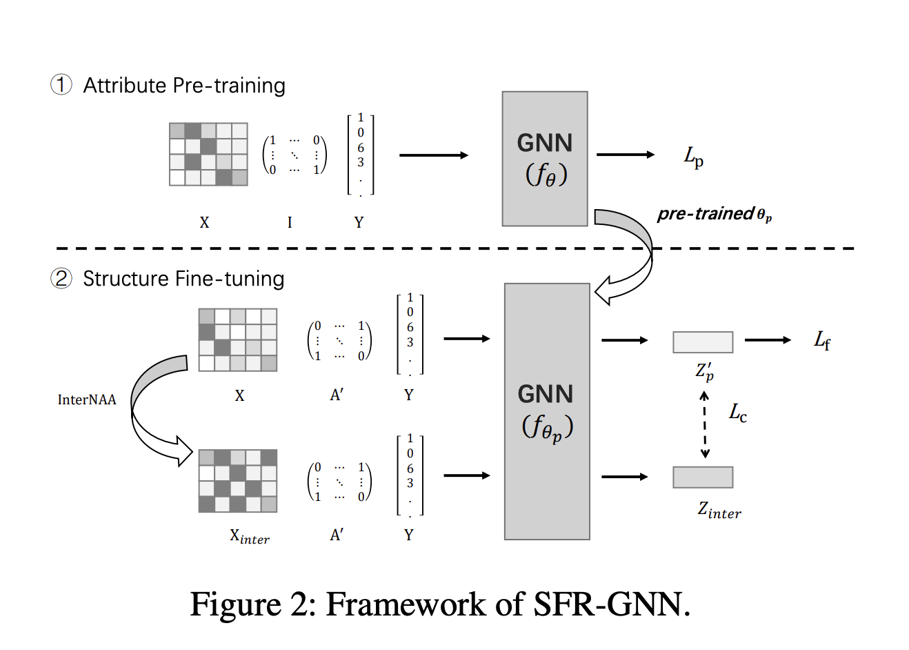 SFR-GNN: A Novel Graph Neural Networks (GNN) Model that Employs an ‘Attribute Pre-Training and Structure Fine-Tuning’ Strategy to Achieve Robustness Against Structural Attacks