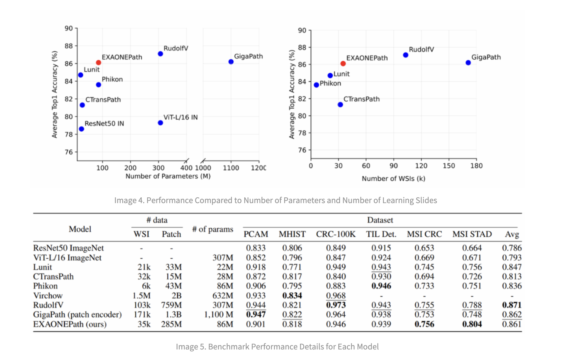 LG AI Research Open-Sources EXAONEPath: Transforming Histopathology Image Analysis with a 285M Patch-level Pre-Trained Model for Variety of Medical Prediction, Reducing Genetic Testing Time and Costs