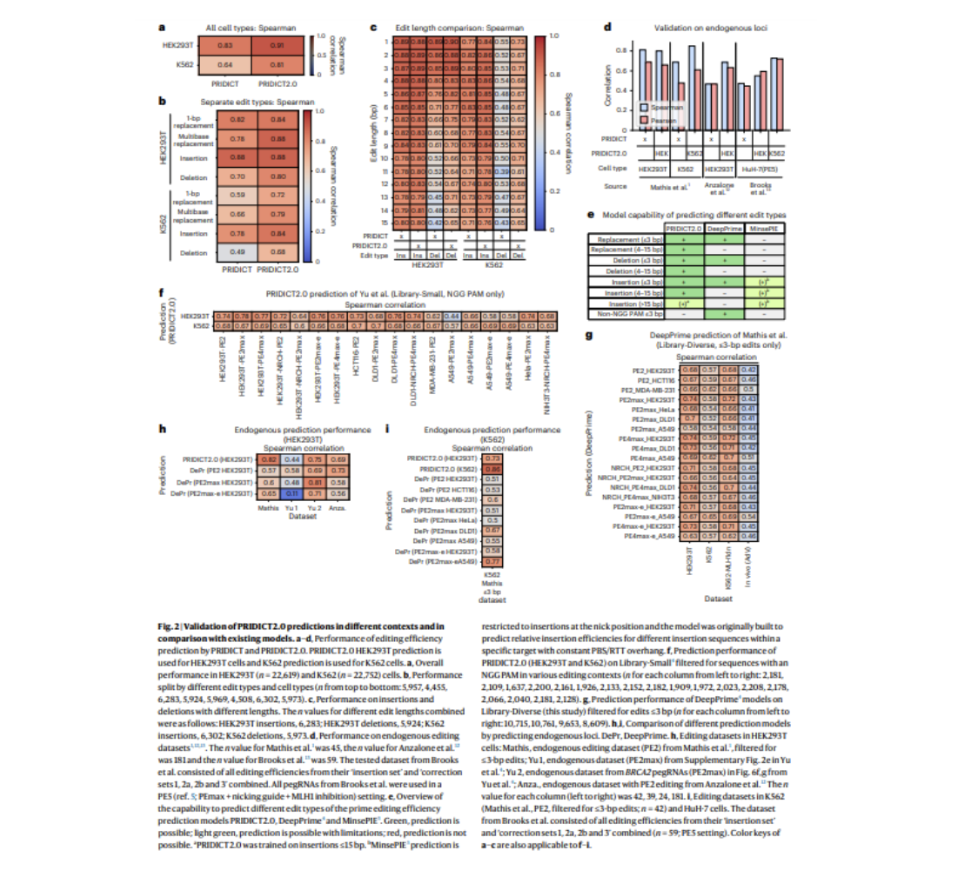 Advancements in Machine Learning Models and Chromatin Context for Optimizing Prime Editing Efficiency