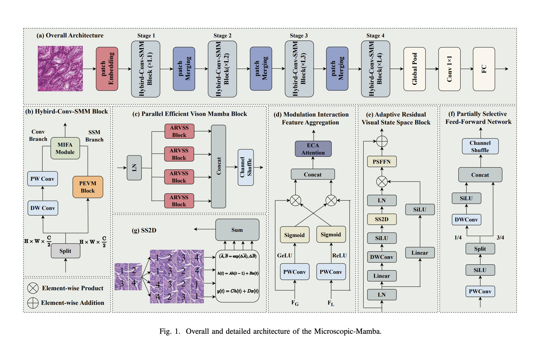 Microscopic-Mamba Released: A Groundbreaking Hybrid Model Combining Convolutional Neural Network CNNs and SSMs for Efficient and Accurate Medical Microscopic Image Classification