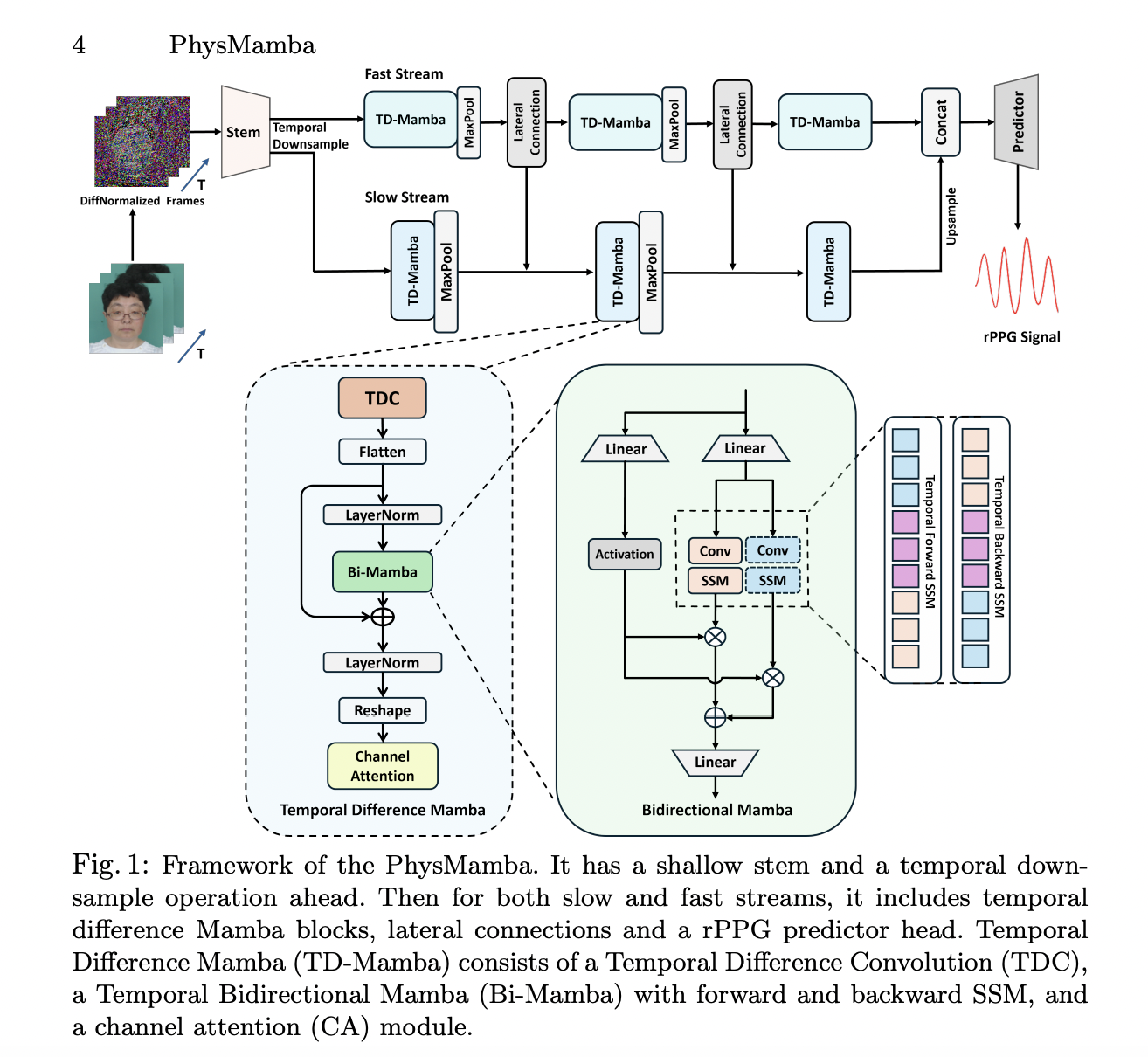 What if Facial Videos Could Measure Your Heart Rate? This AI Paper Unveils PhysMamba and Its Efficient Remote Physiological Solution