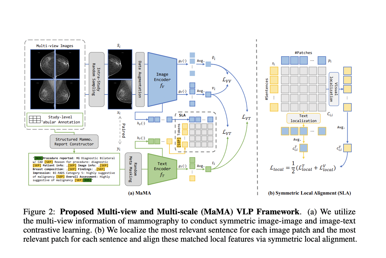  Multi-View and Multi-Scale Alignment (MaMA): Advancing Mammography with Contrastive Learning and Visual-Language Pre-training