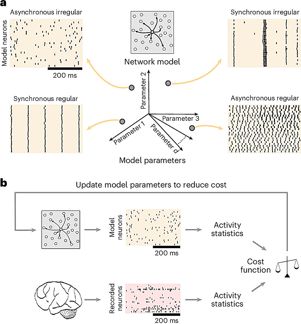  Spiking Network Optimization Using Population Statistics (SNOPS): A Machine Learning-Driven Framework that can Quickly and Accurately Customize Models that Reproduce Activity to Mimic What’s Observed in the Brain