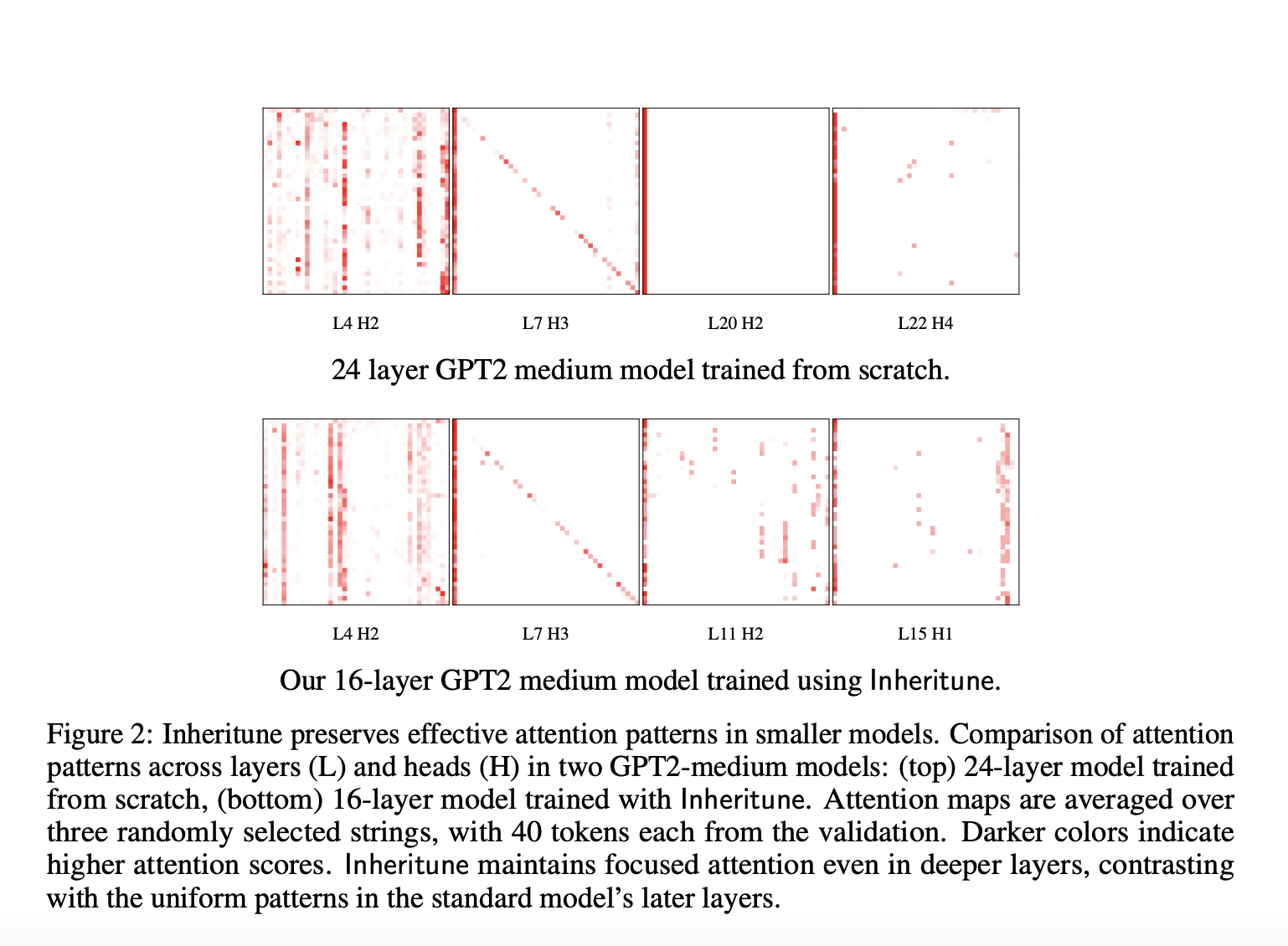 Inheritune: An Effective AI Training Approach for Developing Smaller and High-Performing Language Models