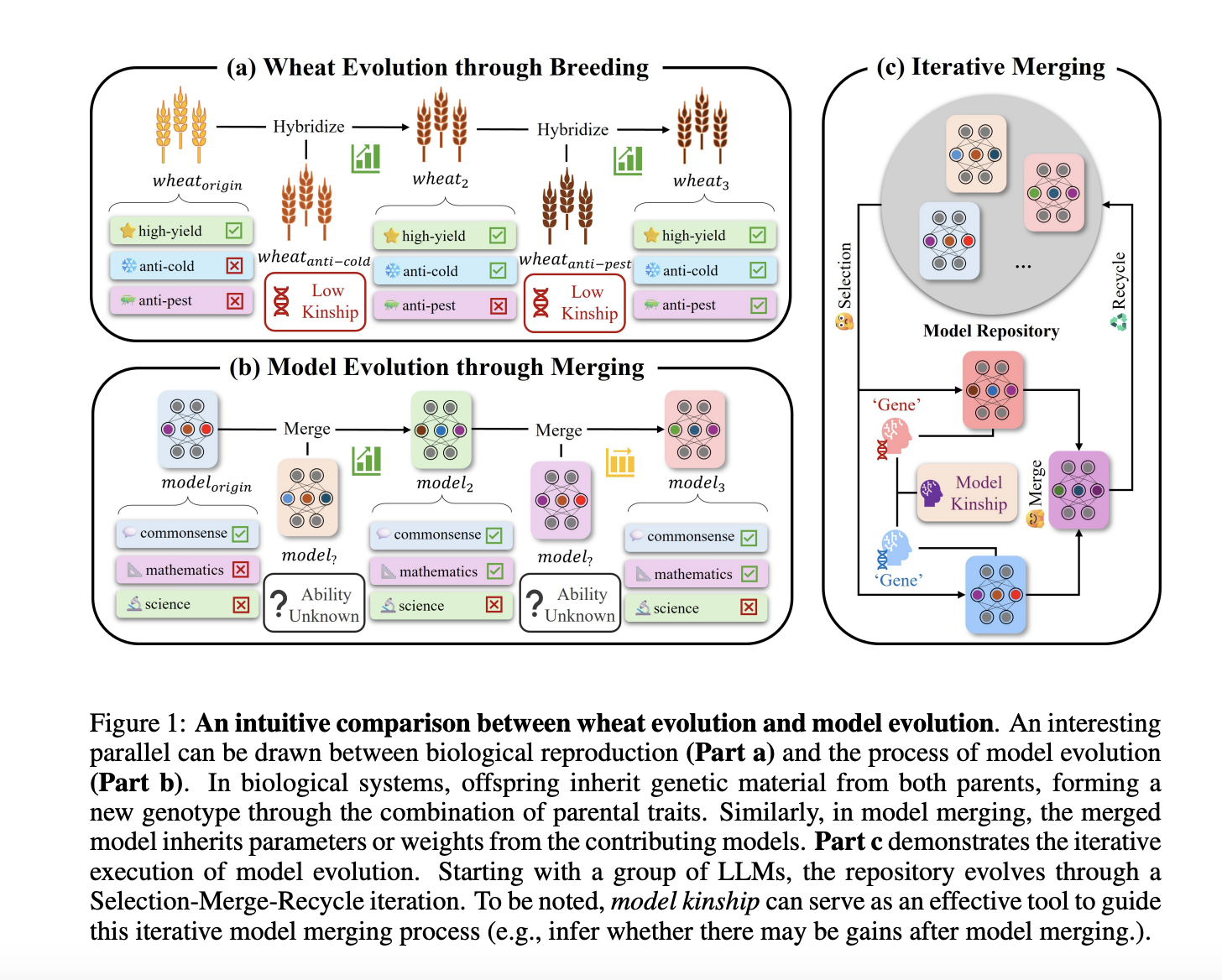  Model Kinship: The Degree of Similarity or Relatedness between LLMs, Analogous to Biological Evolution