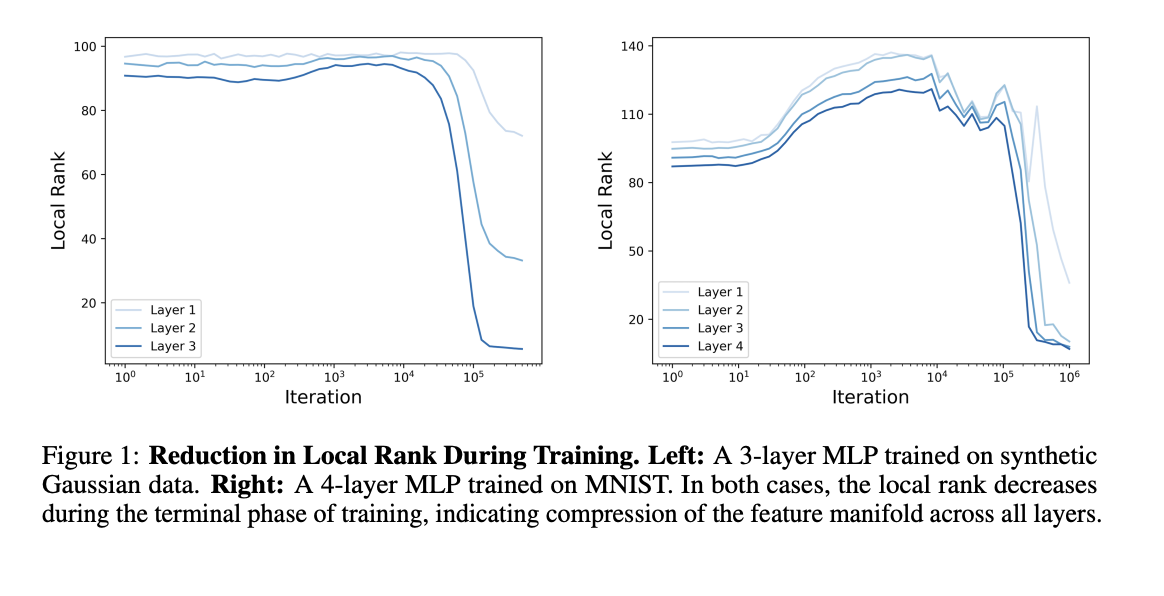 Understanding Local Rank and Information Compression in Deep Neural Networks