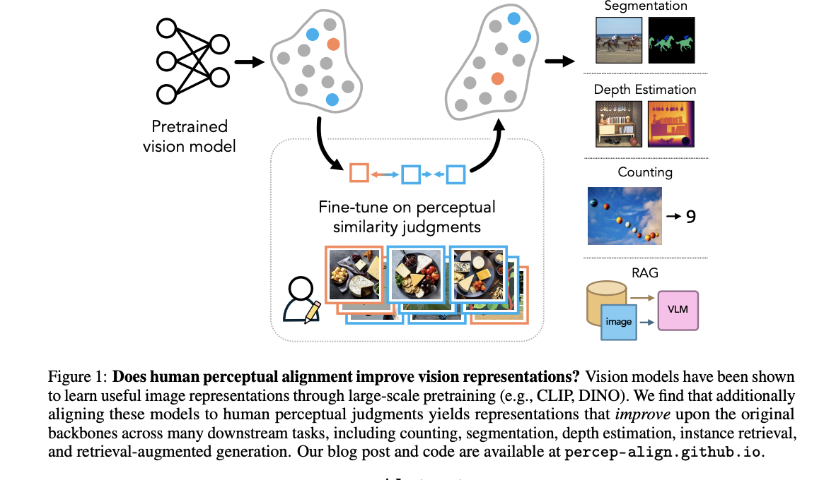 This AI Paper Explores If Human Visual Perception can Help Computer Vision Models Outperform in Generalized Tasks