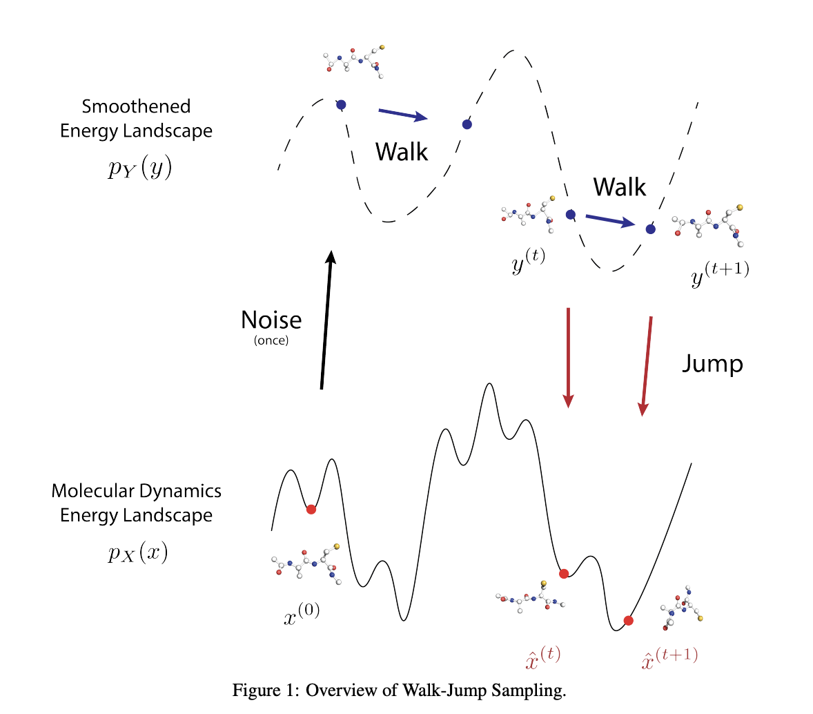 JAMUN: A Walk-Jump Sampling Model for Generating Ensembles of Molecular Conformations