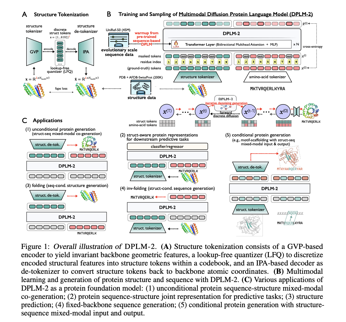  DPLM-2: A Multimodal Protein Language Model Integrating Sequence and Structural Data