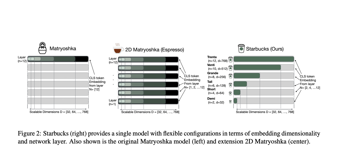  Starbucks: A New AI Training Strategy for Matryoshka-like Embedding Models which Encompasses both the Fine-Tuning and Pre-Training Phases