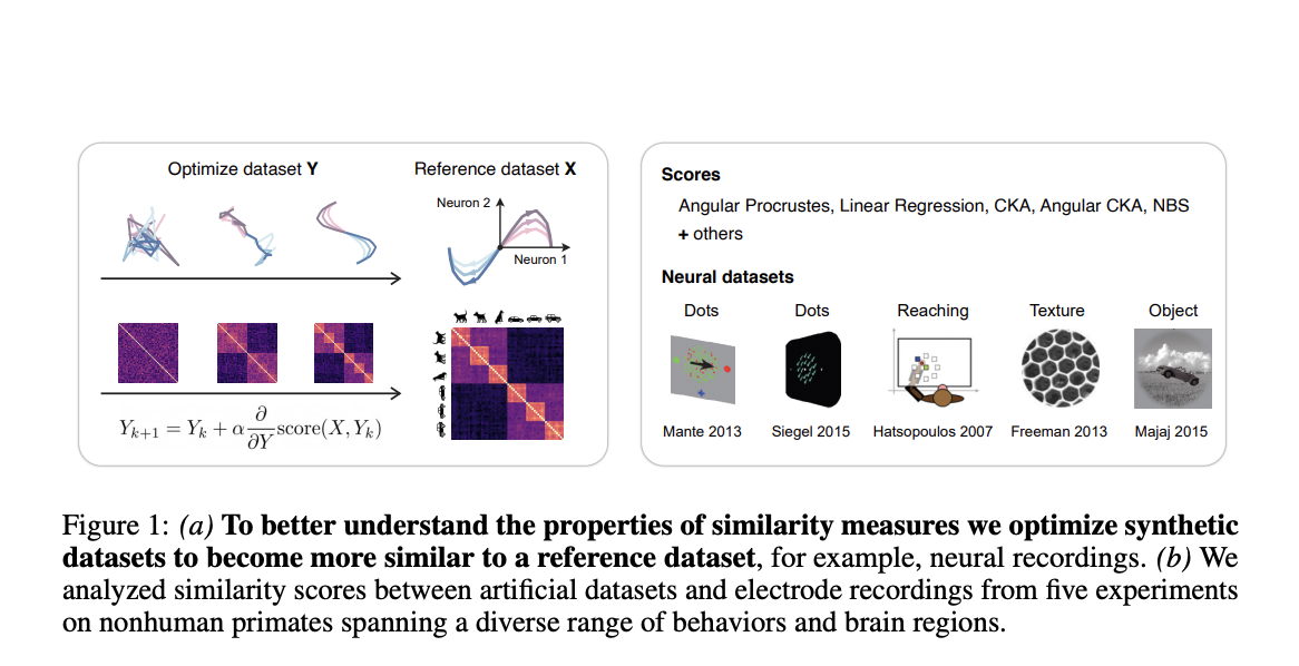 Decoding Similarity: A Framework for Analyzing Neural and Model Representations