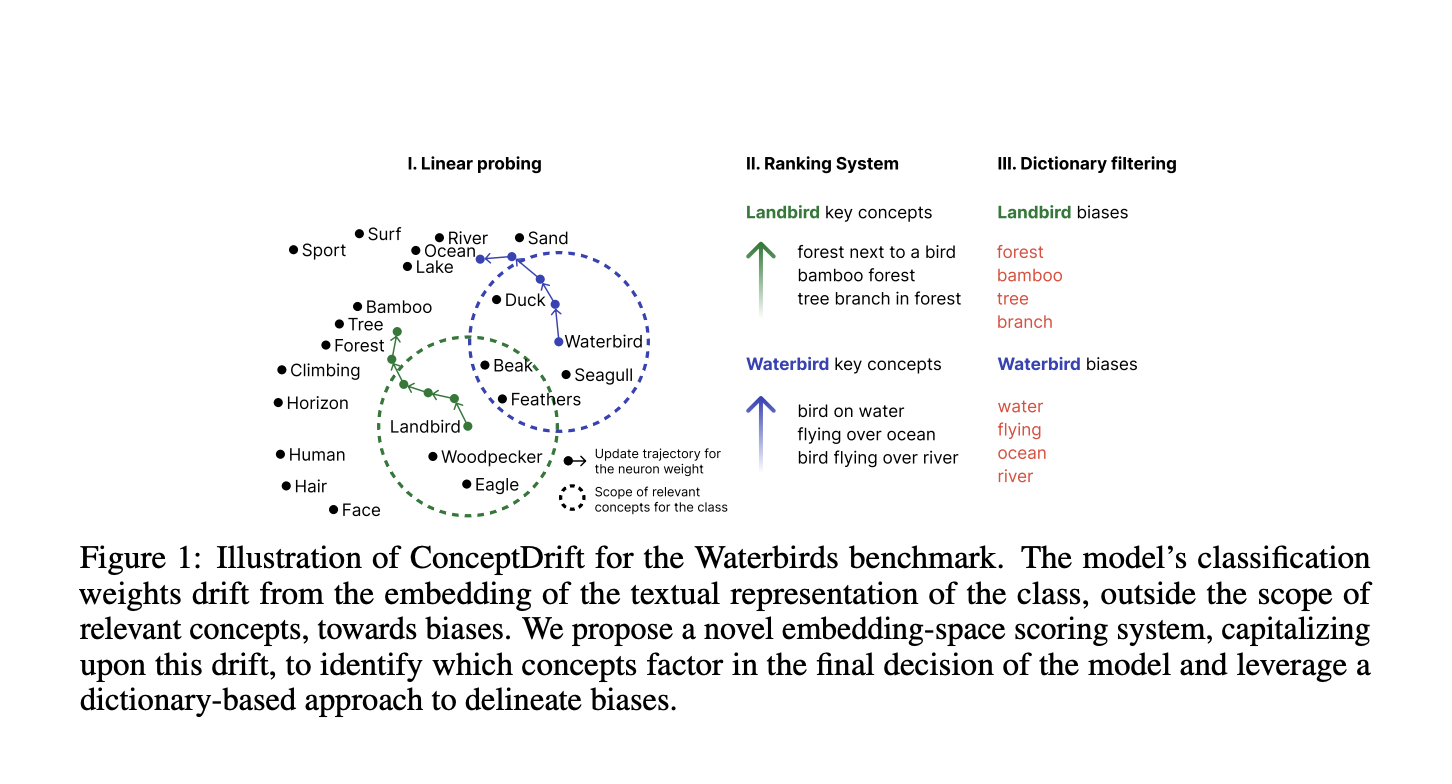  ConceptDrift: An AI Method to Identify Biases Using a Weight-Space Approach Moving Beyond Traditional Data-Restricted Protocols