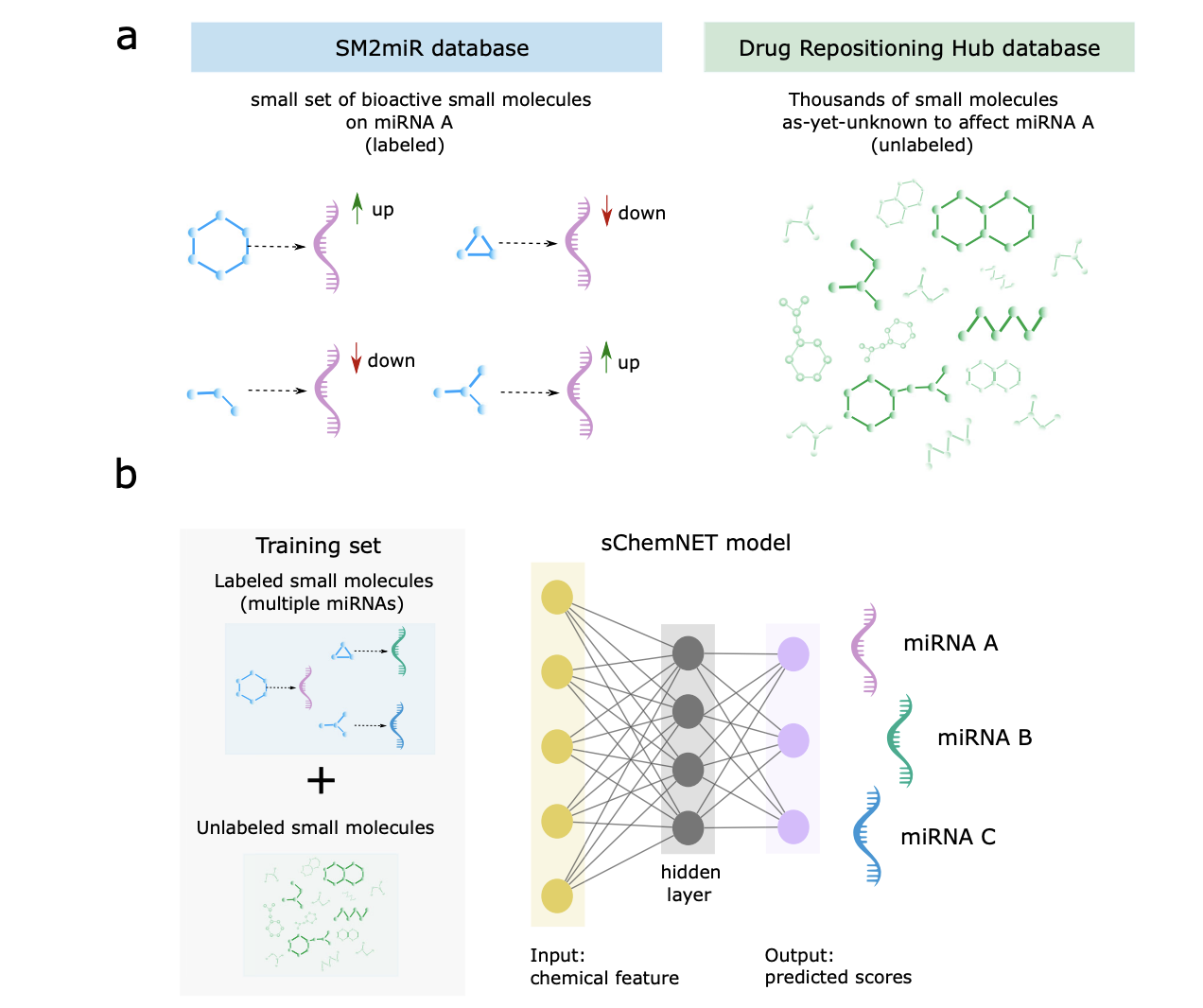  sChemNET: A Deep Learning Framework for Predicting Small Molecule Modulators of miRNA Activity in Disease Treatment