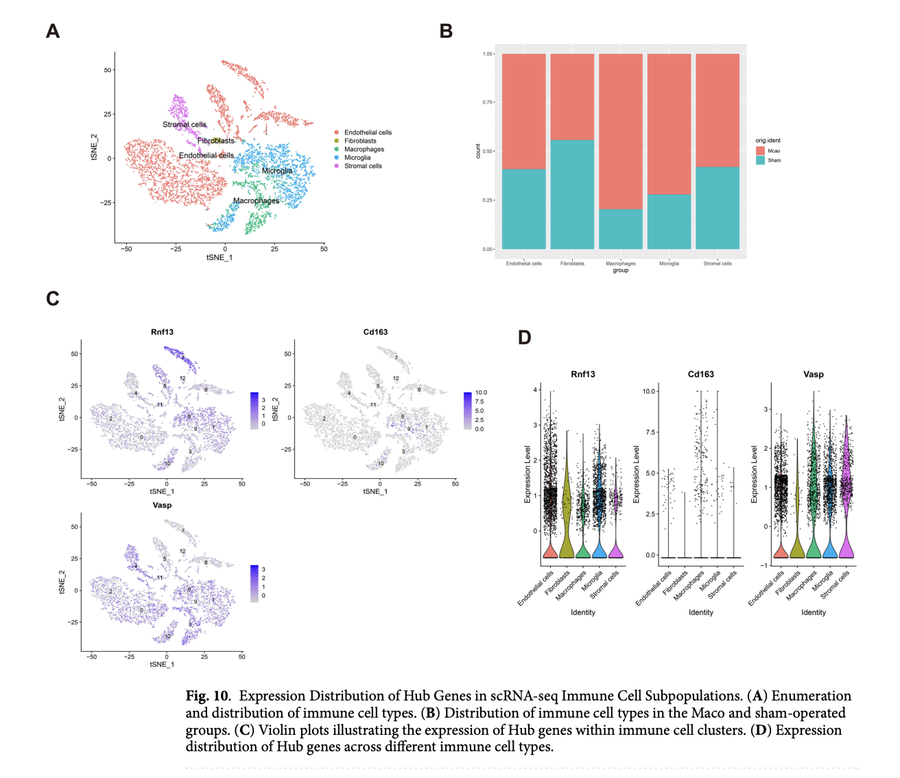  Revealing Biomarkers for Ischemic Stroke: Machine Learning Meets Single-Cell Transcriptomics