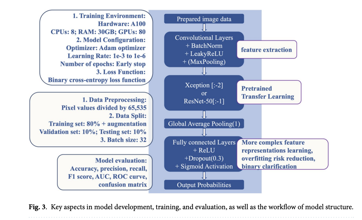  Enhancing Breast Cancer Diagnosis: A Transparent, Reproducible Workflow Using CBIS-DDSM and Advanced Machine Learning Techniques