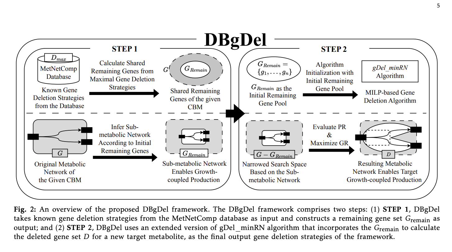  DBgDel: Database-Enhanced Gene Deletion Framework for Growth-Coupled Production in Genome-Scale Metabolic Models