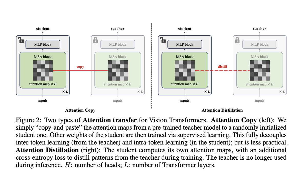  Attention Transfer: A Novel Machine Learning Approach for Efficient Vision Transformer Pre-Training and Fine-Tuning