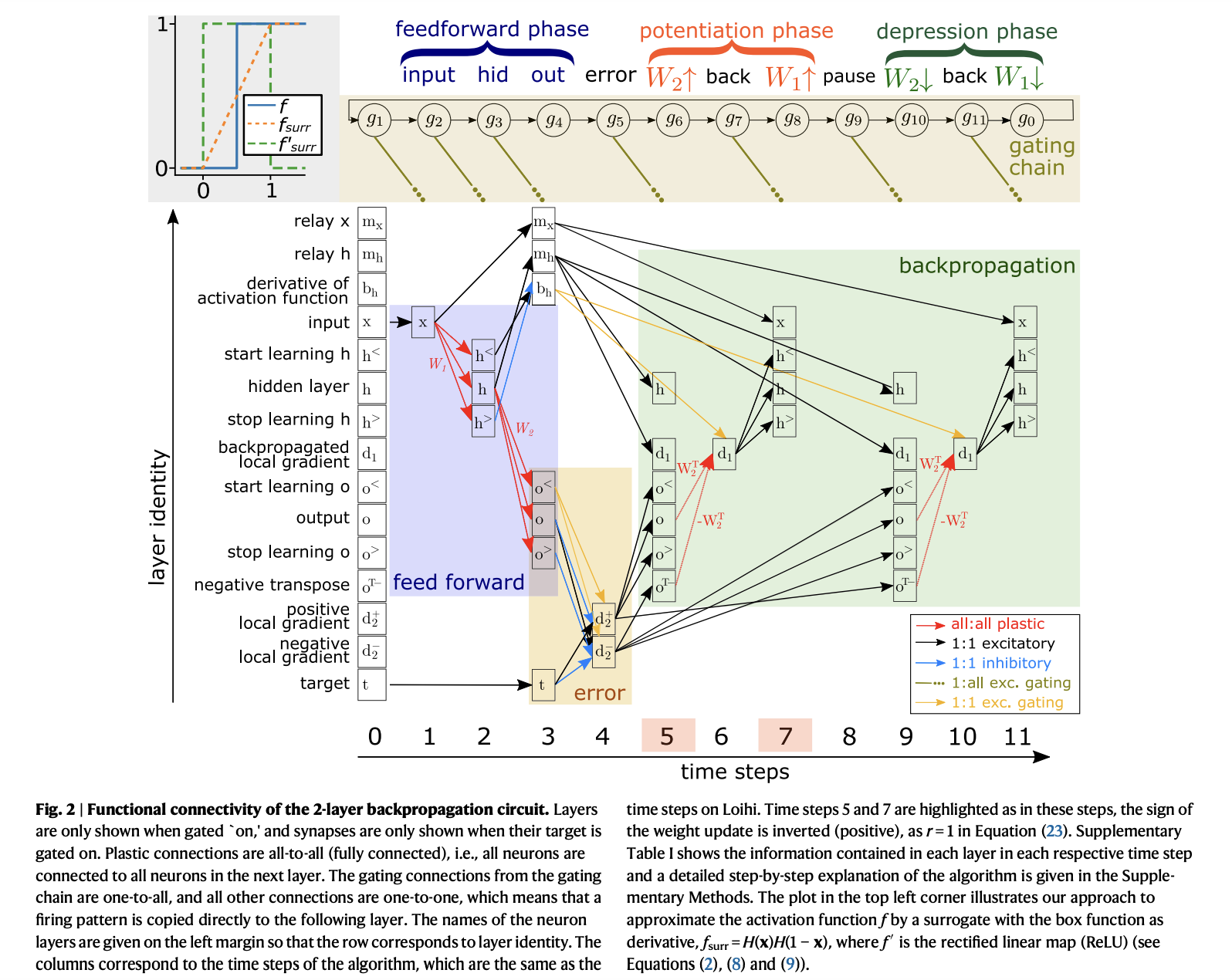  On-Chip Implementation of Backpropagation for Spiking Neural Networks on Neuromorphic Hardware