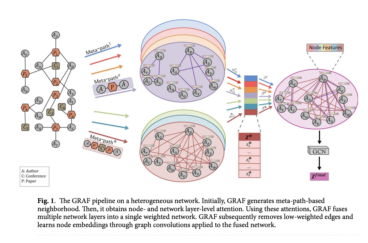  GRAF: A Machine Learning Framework that Convert Multiplex Heterogeneous Networks to Homogeneous Networks to Make Them more Suitable for Graph Representation Learning