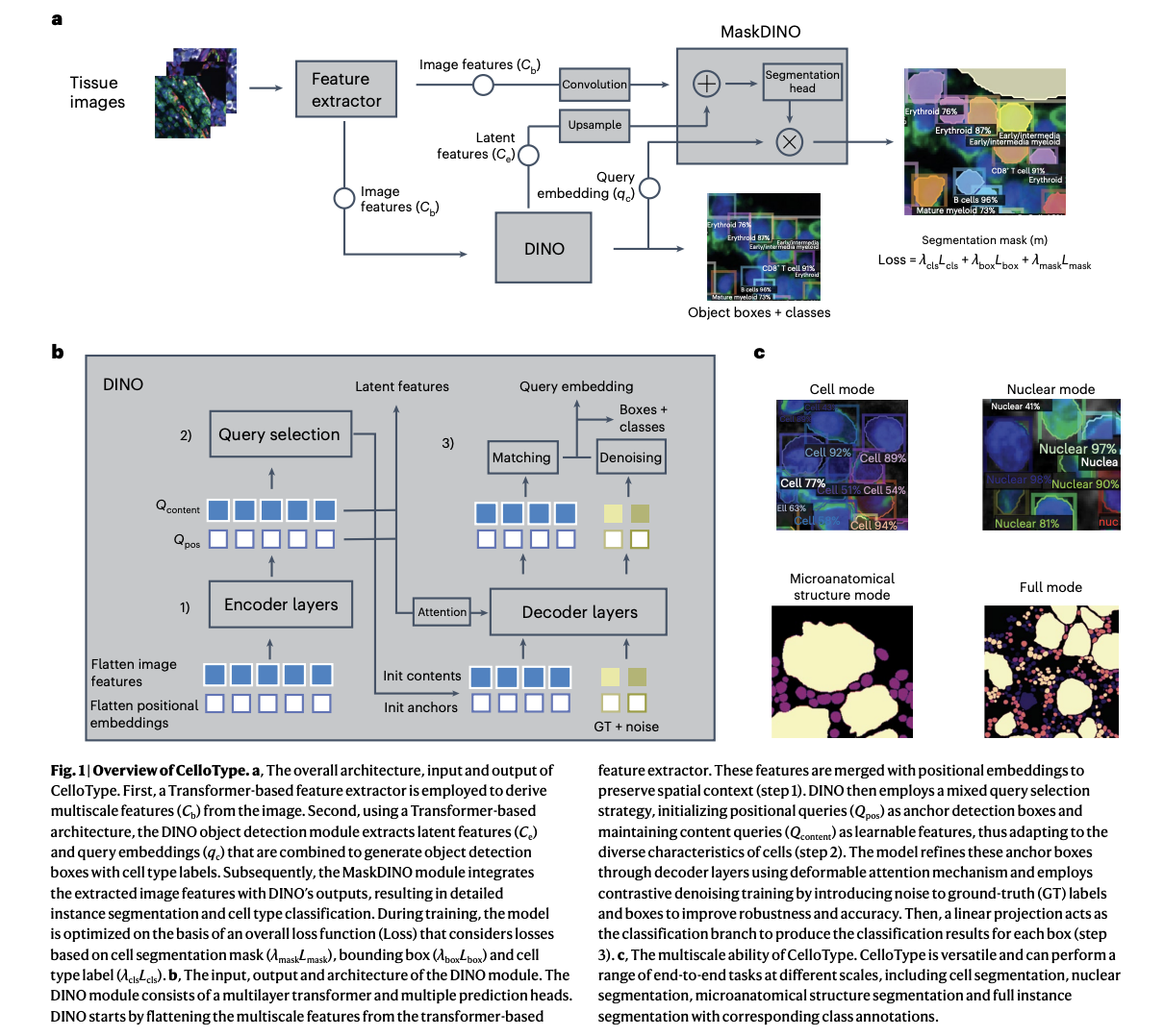  CelloType: A Transformer-Based AI Framework for Multitask Cell Segmentation and Classification in Spatial Omics