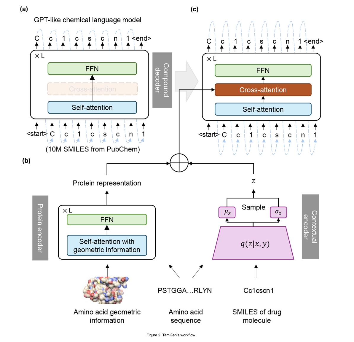  TamGen: A Generative AI Framework for Target-Based Drug Discovery and Antibiotic Development