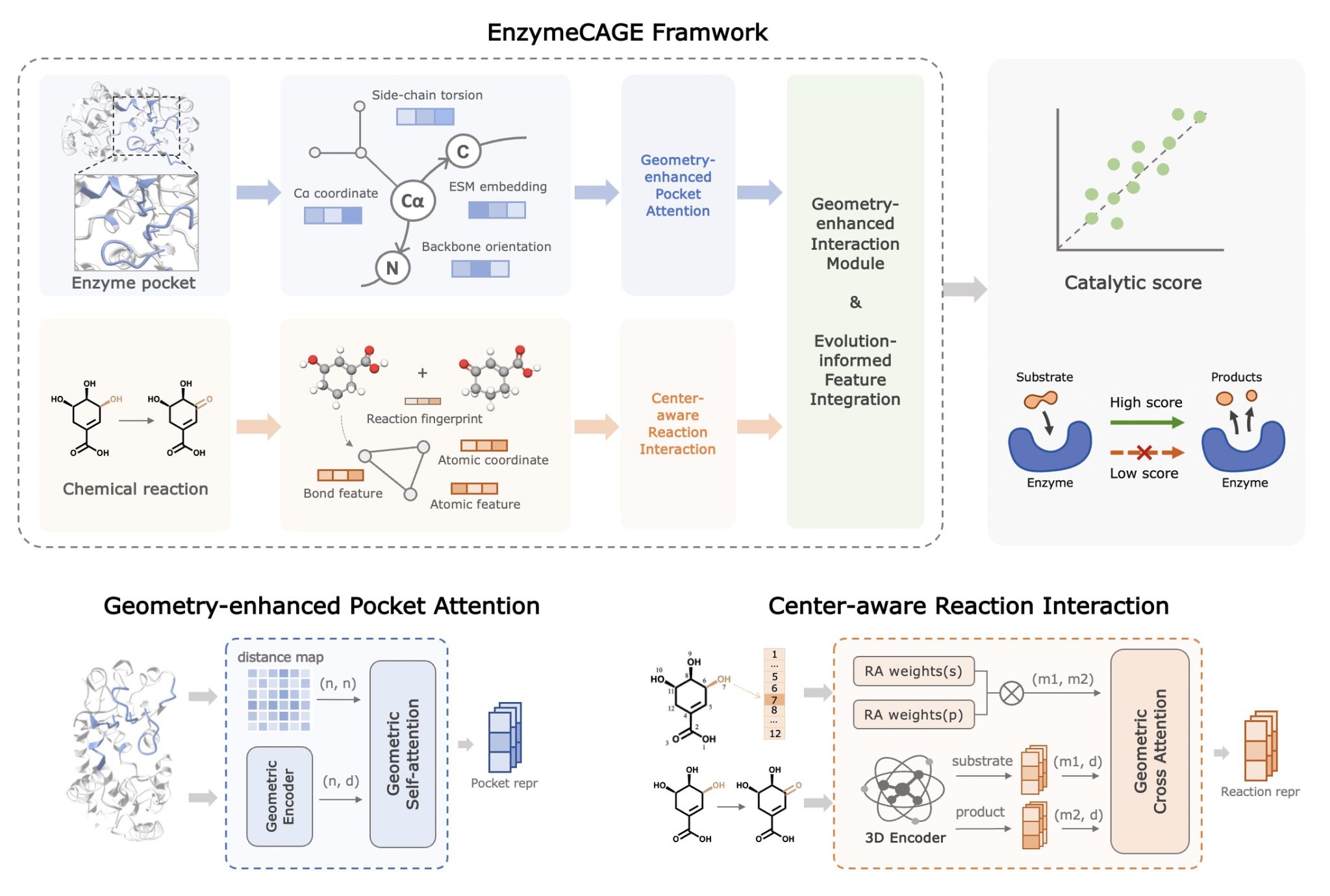  EnzymeCAGE: A Deep Learning Framework Designed to Predict Enzyme-Reaction Catalytic Specificity by Encoding both Pocket-Specific Enzyme Structures and Chemical Reactions