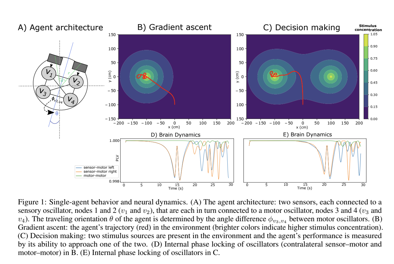  Bridging Neural Dynamics and Collective Intelligence: A Study on Adaptive Multi-Agent Systems for Effective Consensus-Building in Complex and Dynamic Environments