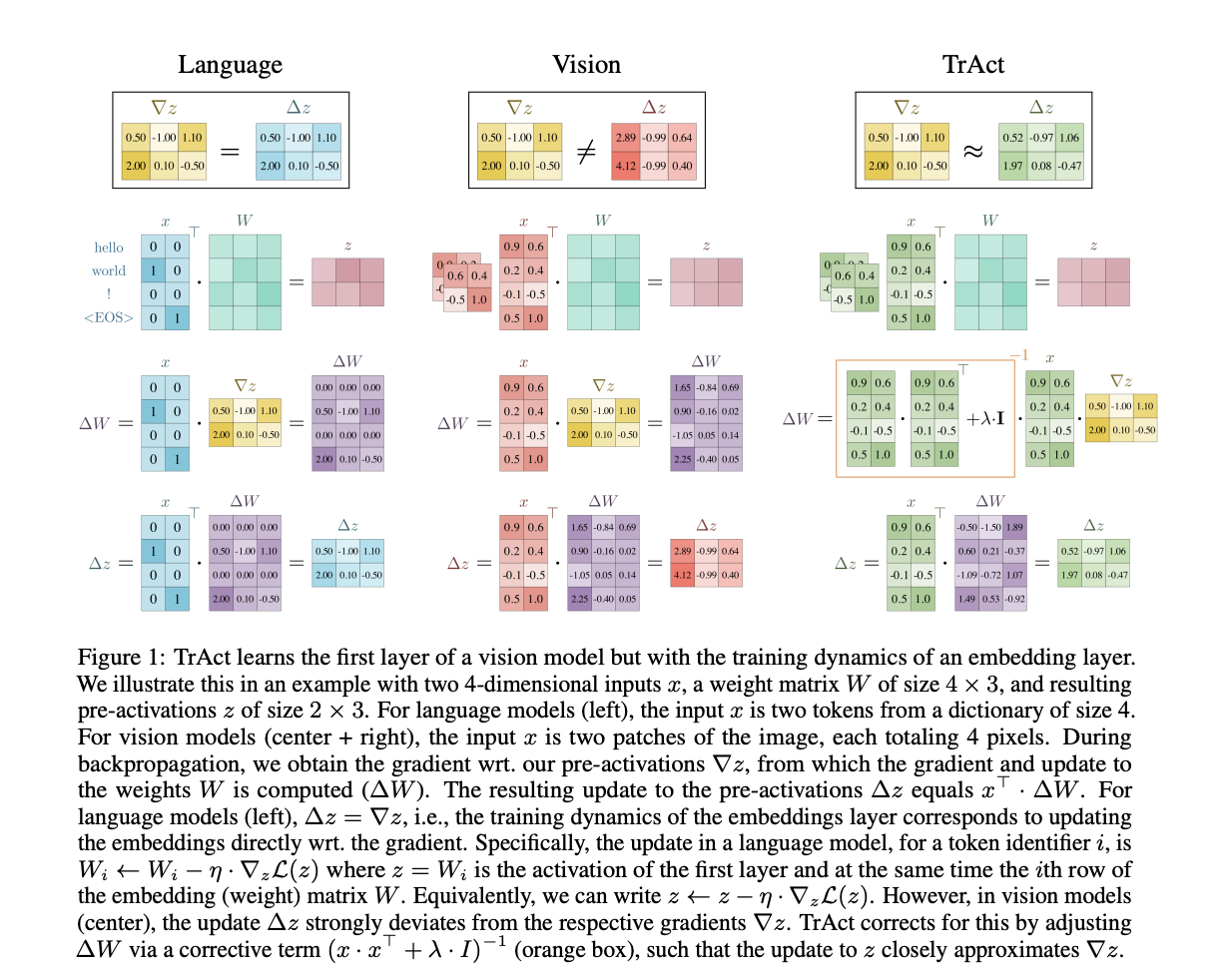 Researchers at Stanford University Introduce TrAct: A Novel Optimization Technique for Efficient and Accurate First-Layer Training in Vision Models