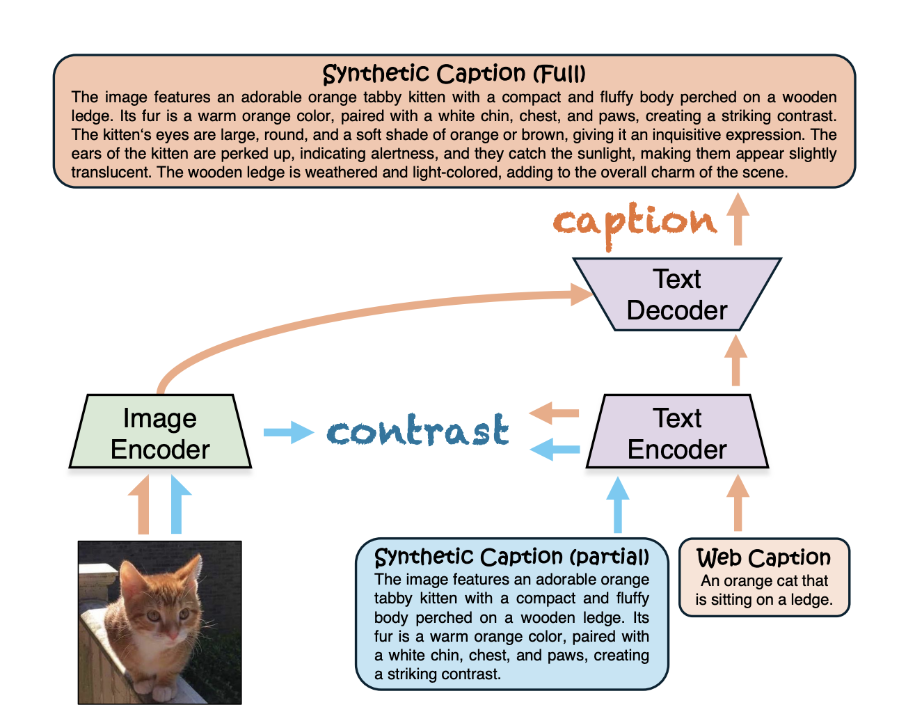 This AI Paper from UC Santa Cruz and the University of Edinburgh Introduces CLIPS: An Enhanced CLIP Framework for Learning with Synthetic Captions