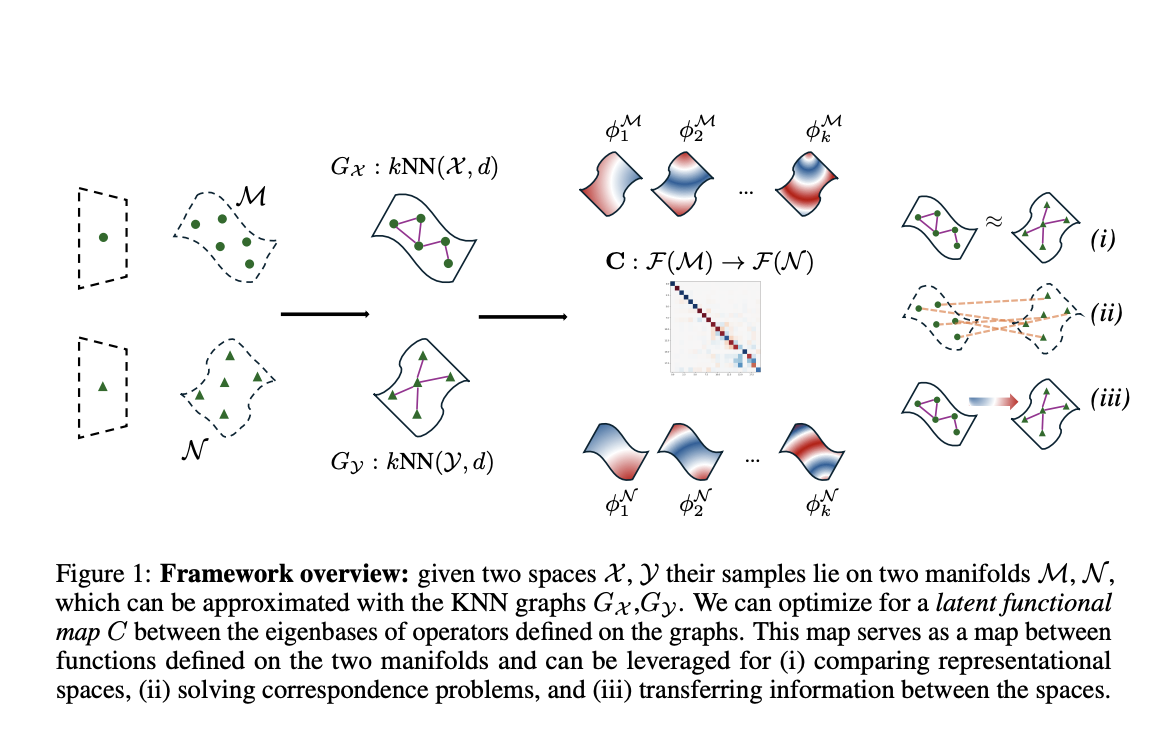 Latent Functional Maps: A Robust Machine Learning Framework for Analyzing Neural Network Representations