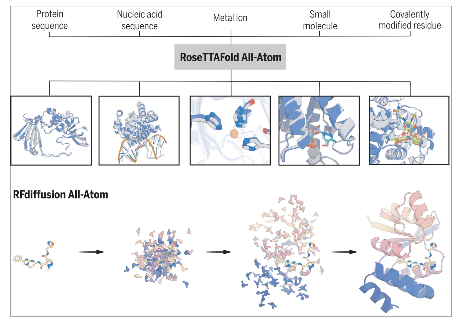 DL4Proteins Notebook Series Bridging Machine Learning and Protein Engineering: A Practical Guide to Deep Learning Tools for Protein Design